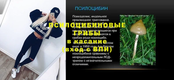дмт Баксан
