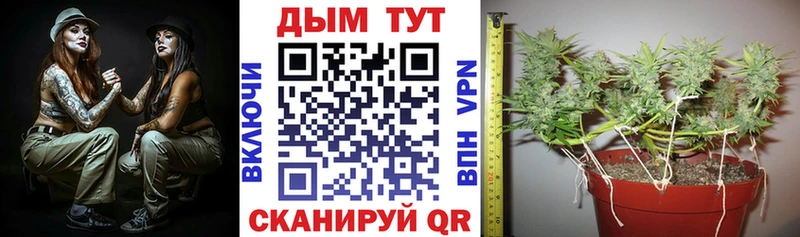 как найти закладки  Афипский  Конопля MAZAR 
